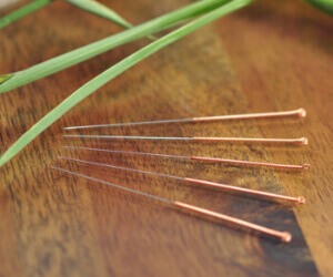 Picture of 5 Small Acupuncture Needles on a wooden desk with leaves of young barley