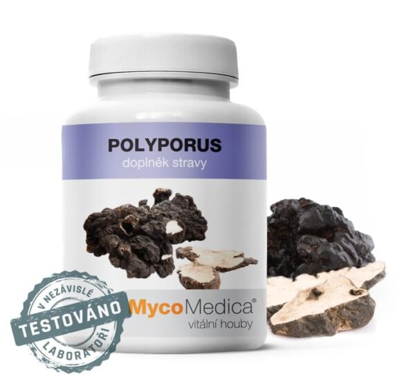 Polyporus supplement
