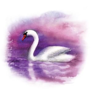 015-Swans neck Yaomedica
