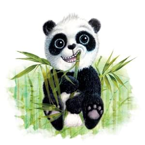 panda syrup mycomedica