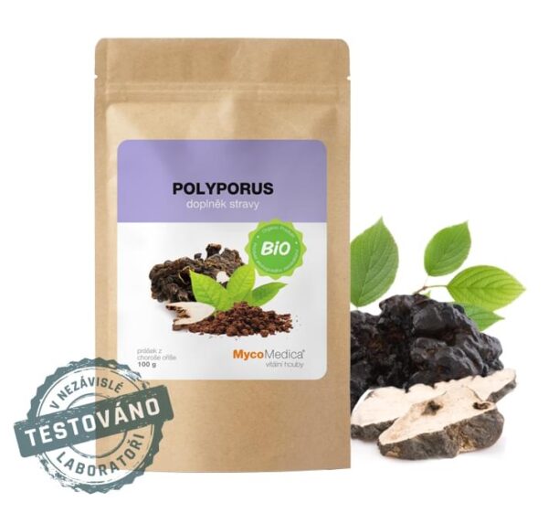 Organic Polyporus powder MycoMedica