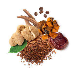 MycoCoffee product image by mycomedica