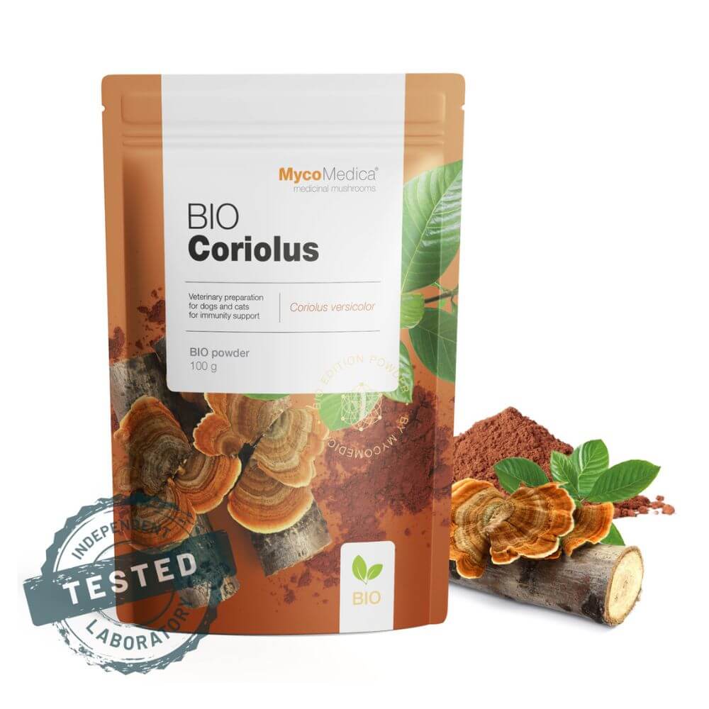 Organic Turkey tail product image by mycomedica